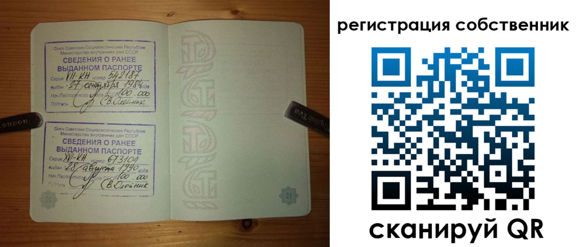 прописка законно в Завитинске
